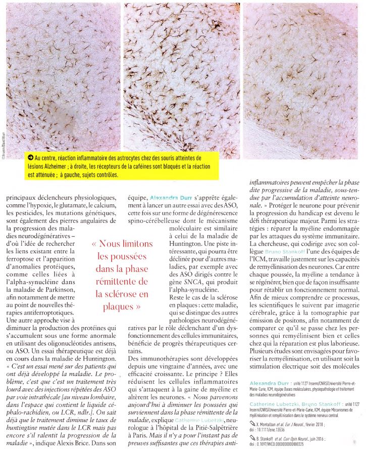 article-inserm-maladies-neurodégénératives