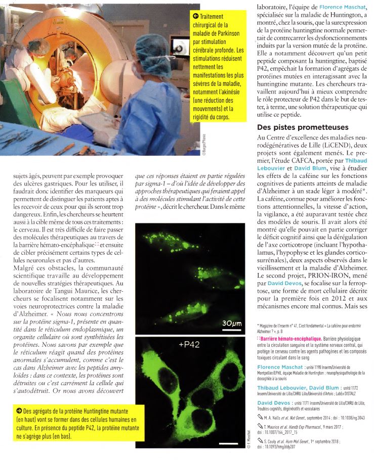 article-inserm-maladies-neurodégénératives